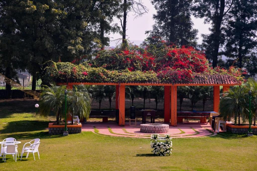 Villa Green Orchid Farms I Swimming Pool I Wedding I Party Gurgaon Exterior foto